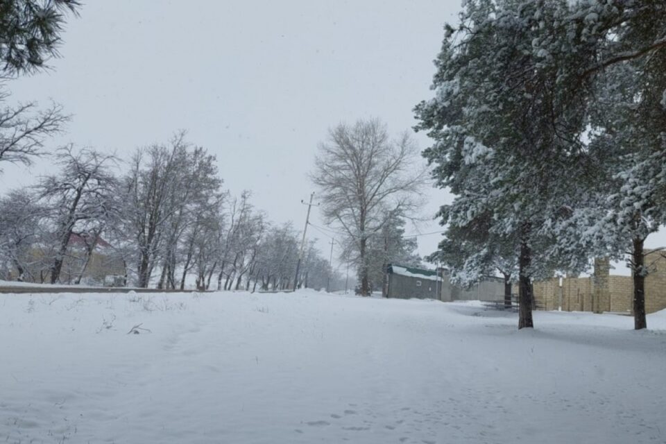 featured-image-714510