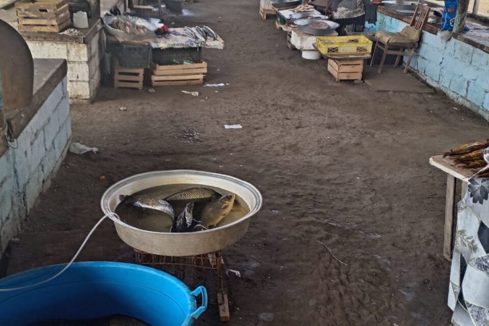 featured-image-714714