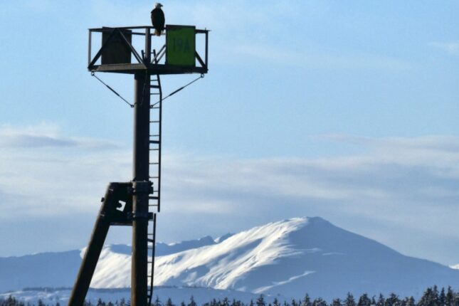 featured-image-715400