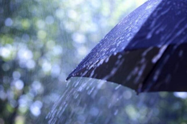 featured-image-715410