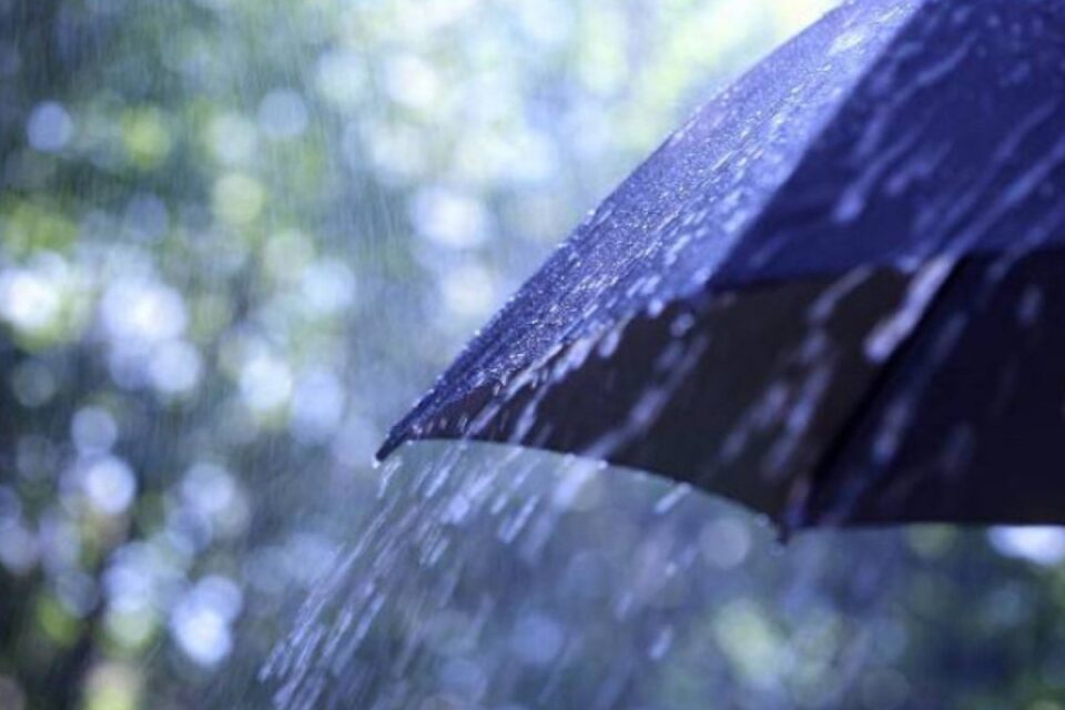 featured-image-715410