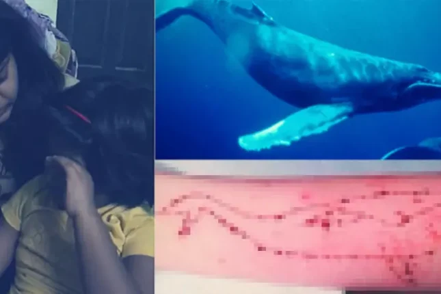 featured-image-714730