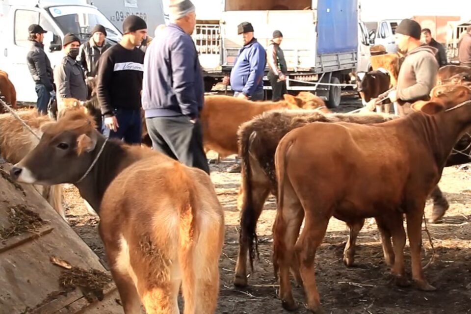 featured-image-716388