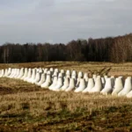 featured-image-717488