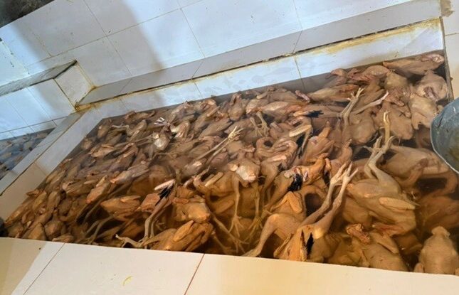 featured-image-718482