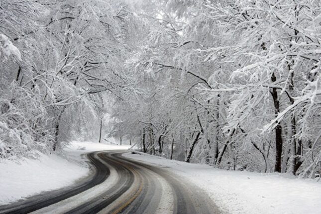 featured-image-719239