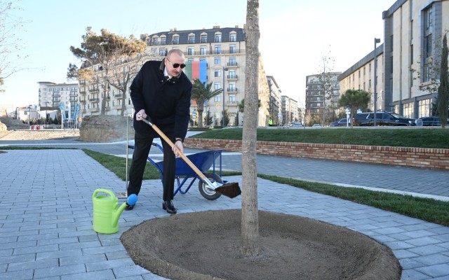 featured-image-719576