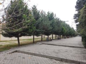 media-whatsapp-image-2025-12-22-at-12-56-57-3