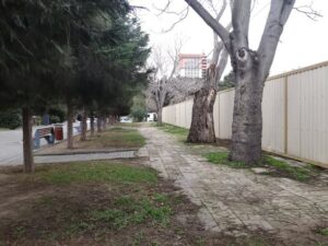 media-whatsapp-image-2025-12-22-at-12-56-58-1