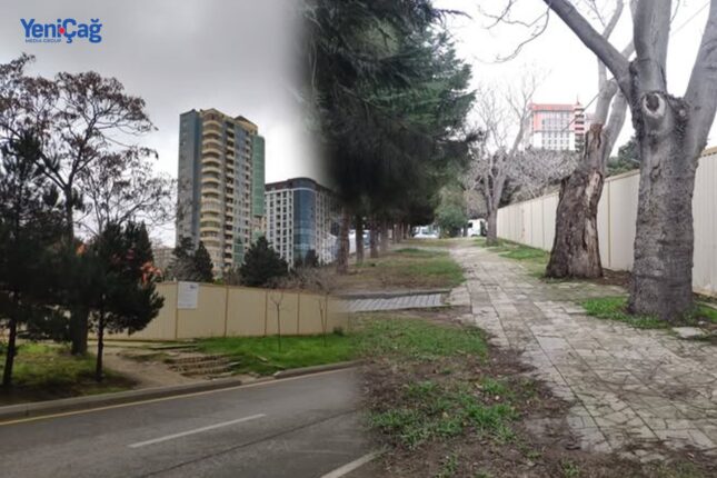 featured-image-718173