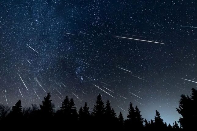 featured-image-719387