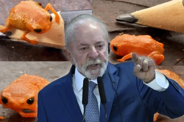 featured-image-716916