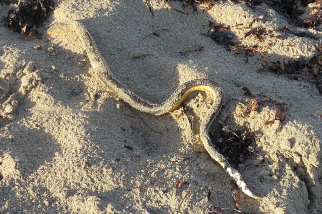 featured-image-714467