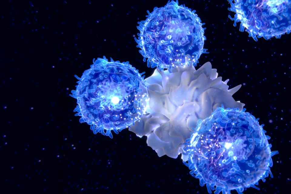 featured-image-719707