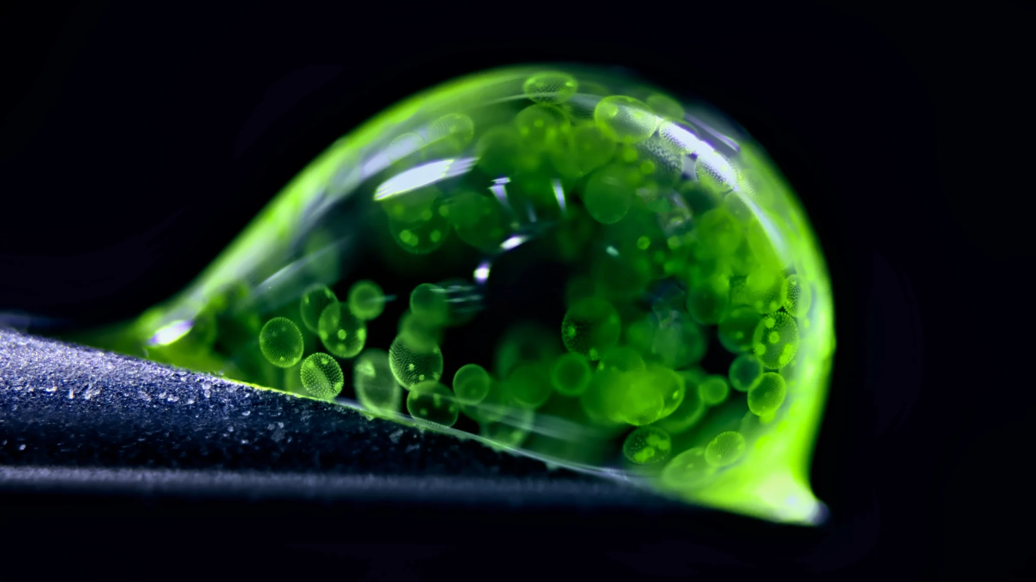 media-droplet-sh-h-2039x1147