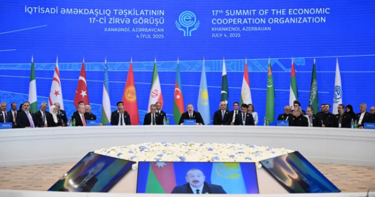 media-editor_e5af089bc56c2987e12e30602698d28c_w1p3asxv0ufgqnj2loim-768x403