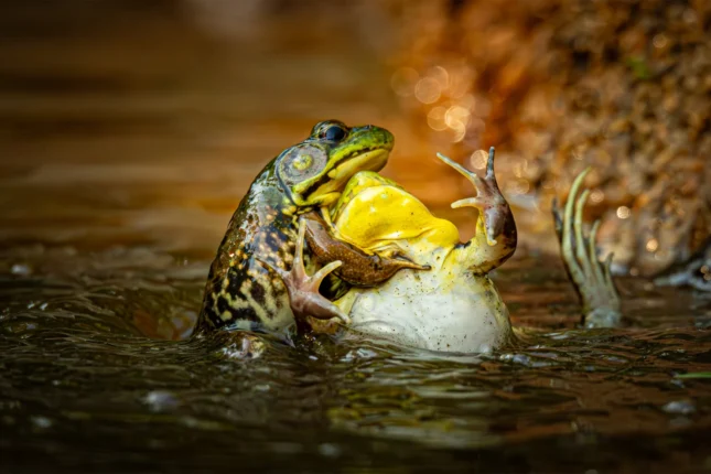 featured-image-717148