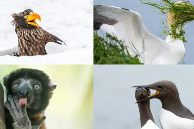 featured-image-718187