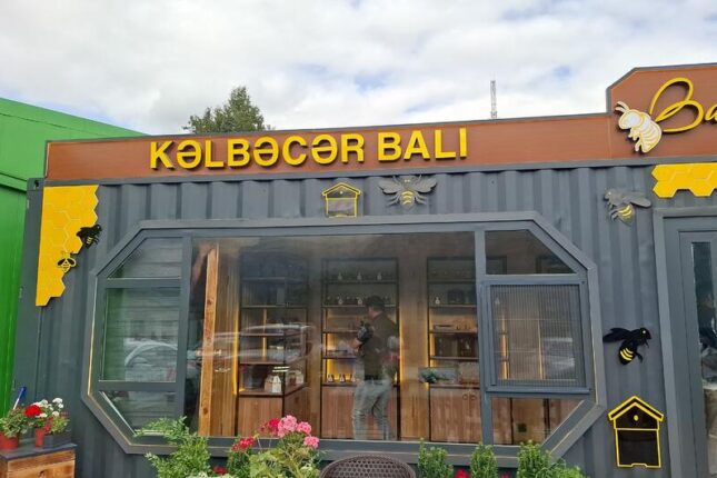 featured-image-715510