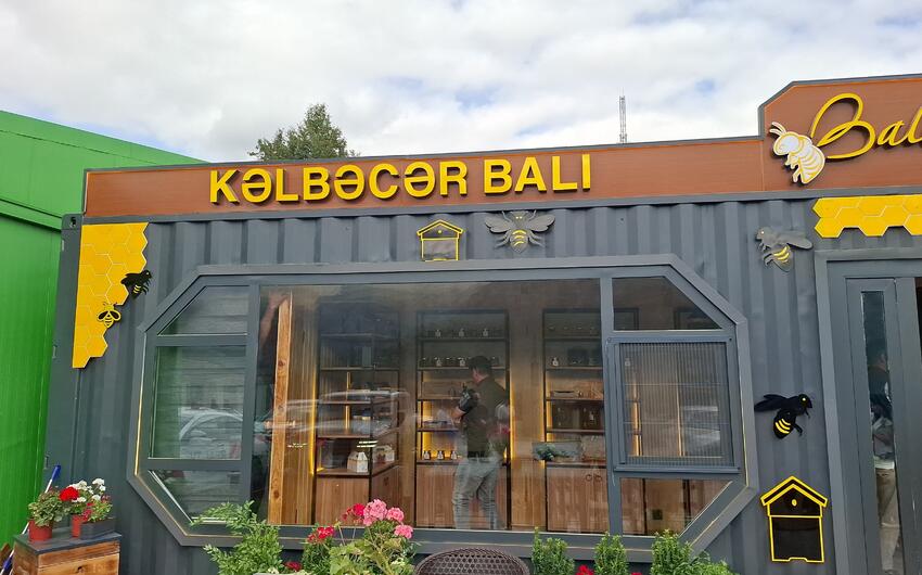 featured-image-715510