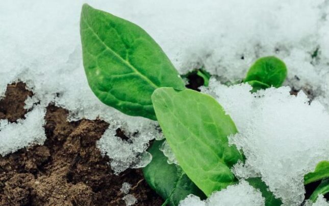 featured-image-716256