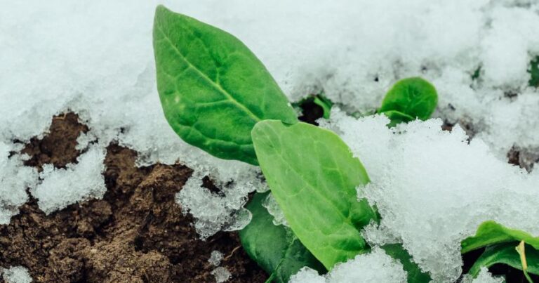 featured-image-716256