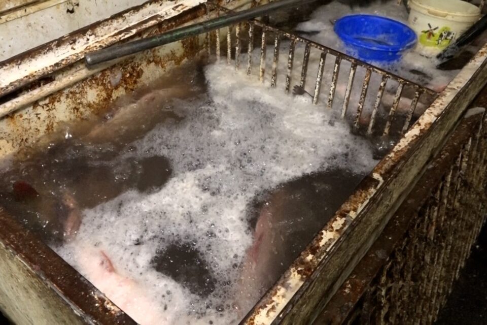 featured-image-717421