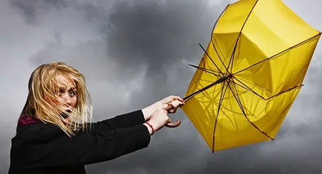 featured-image-719512