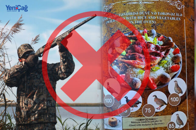 featured-image-718131