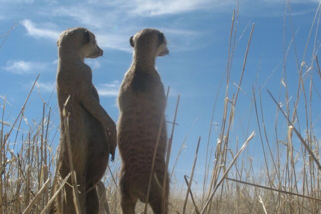 featured-image-724571