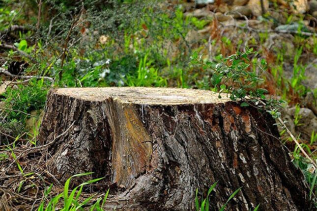 featured-image-720272