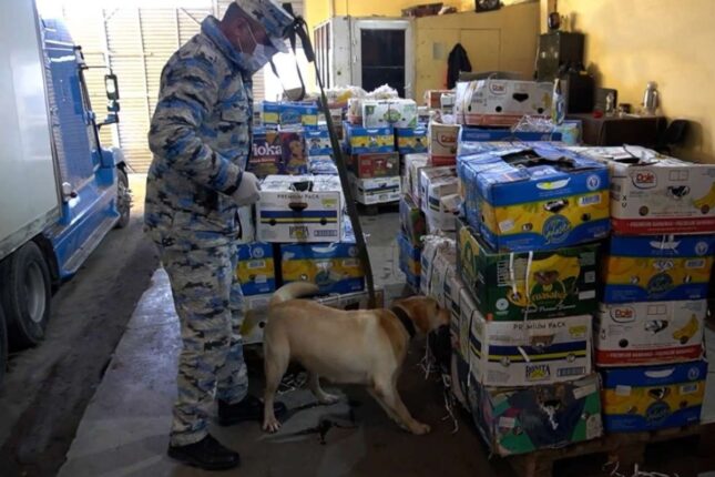 featured-image-719906