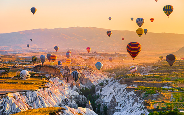 featured-image-719955