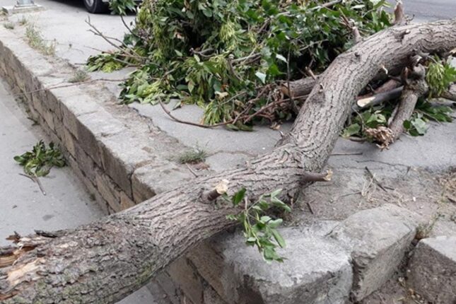 featured-image-720005