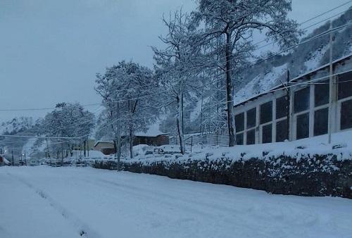 featured-image-720009