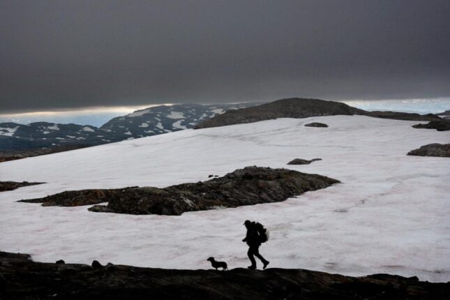 featured-image-720032