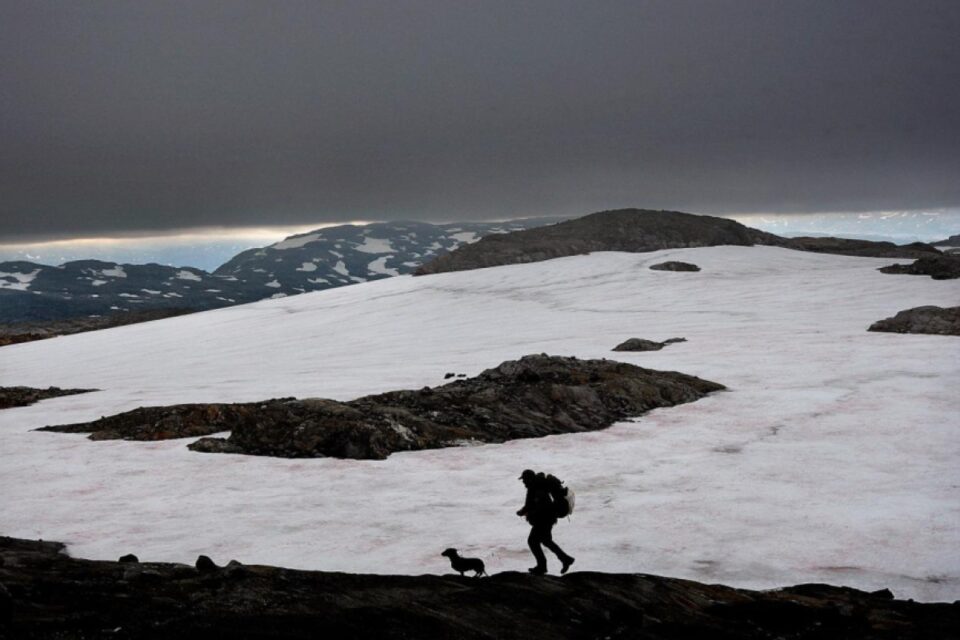 featured-image-720032