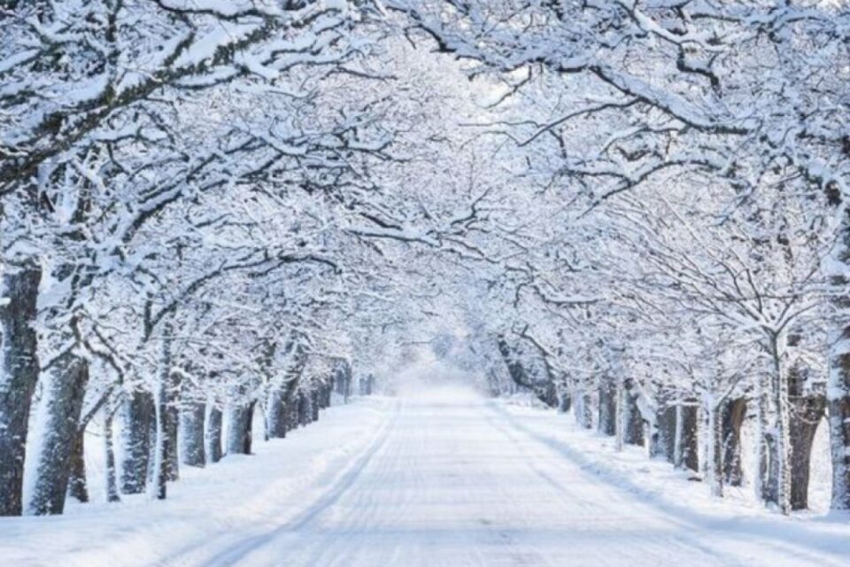 featured-image-720034