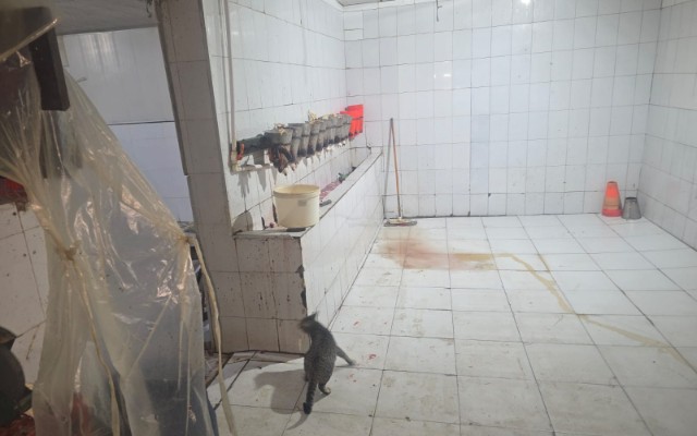 featured-image-720386