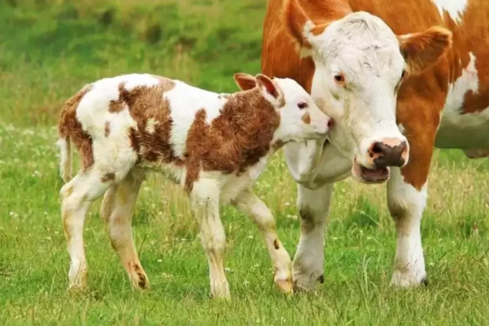 featured-image-720496