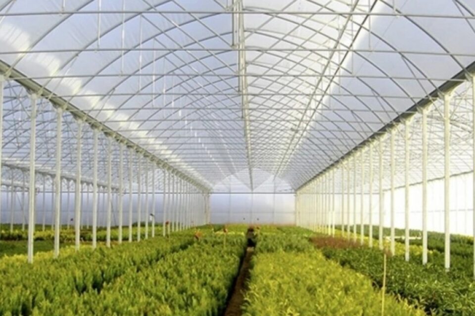 featured-image-720602