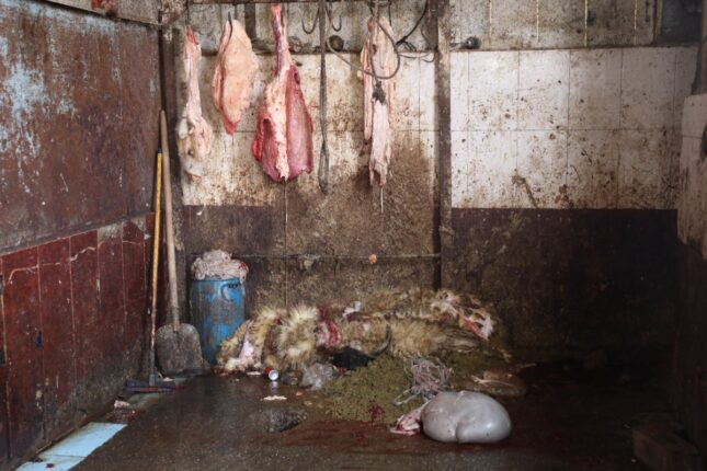 featured-image-720897