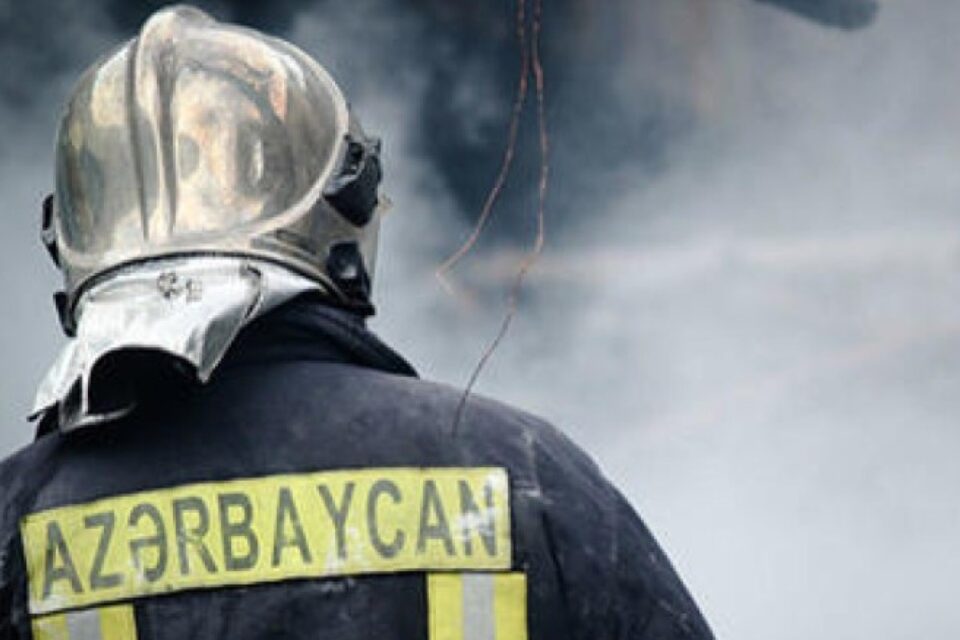 featured-image-722695