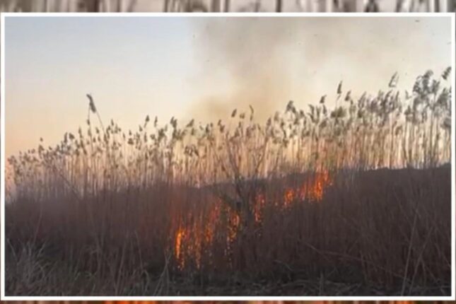 featured-image-721047