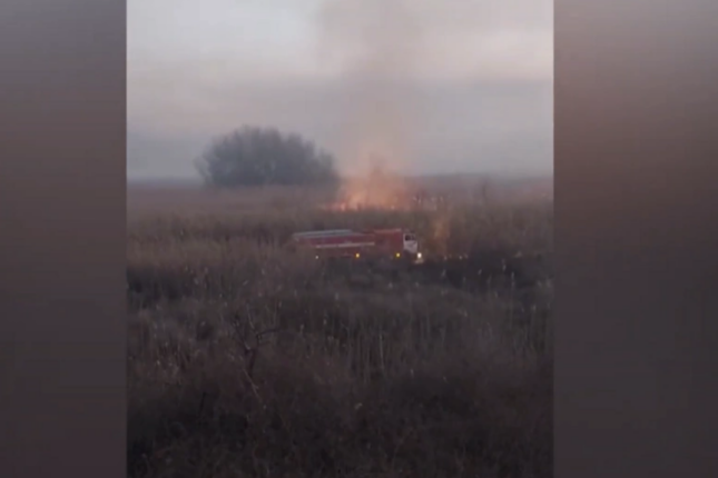 featured-image-721305