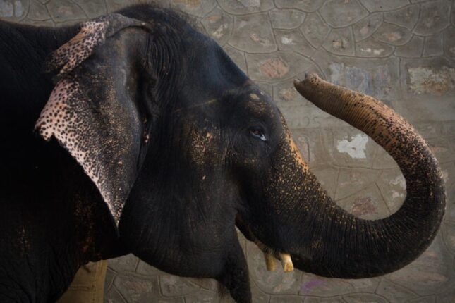 featured-image-721799