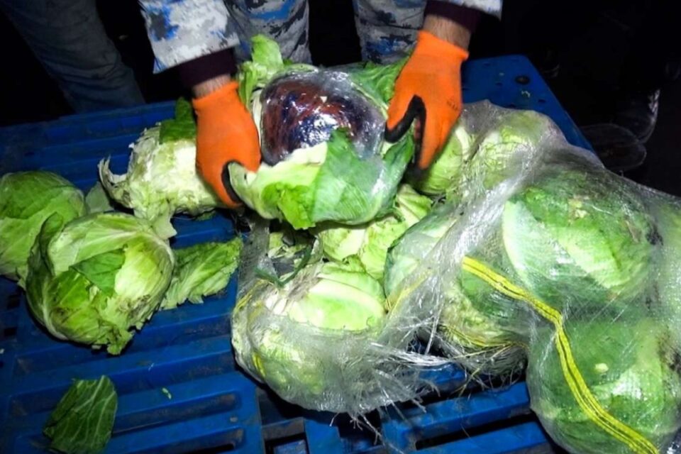 featured-image-722048