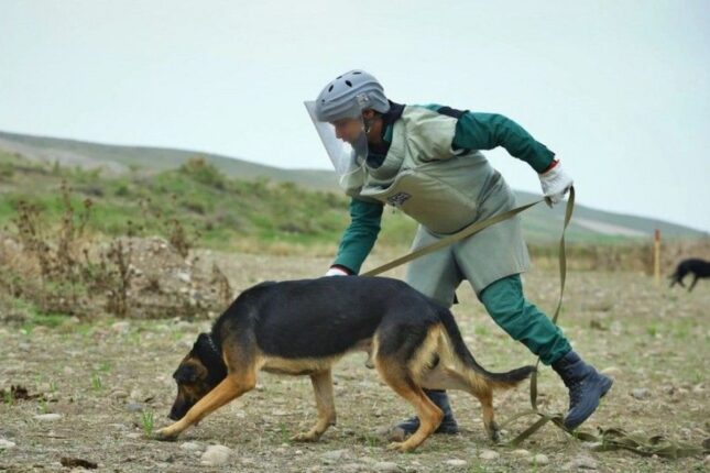 featured-image-722702