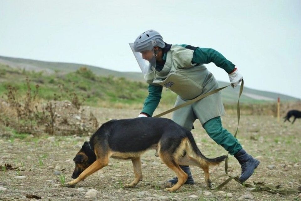 featured-image-722702