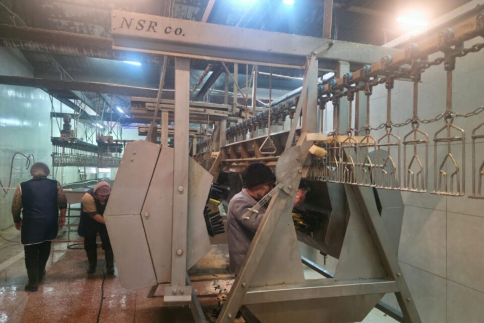 featured-image-722955